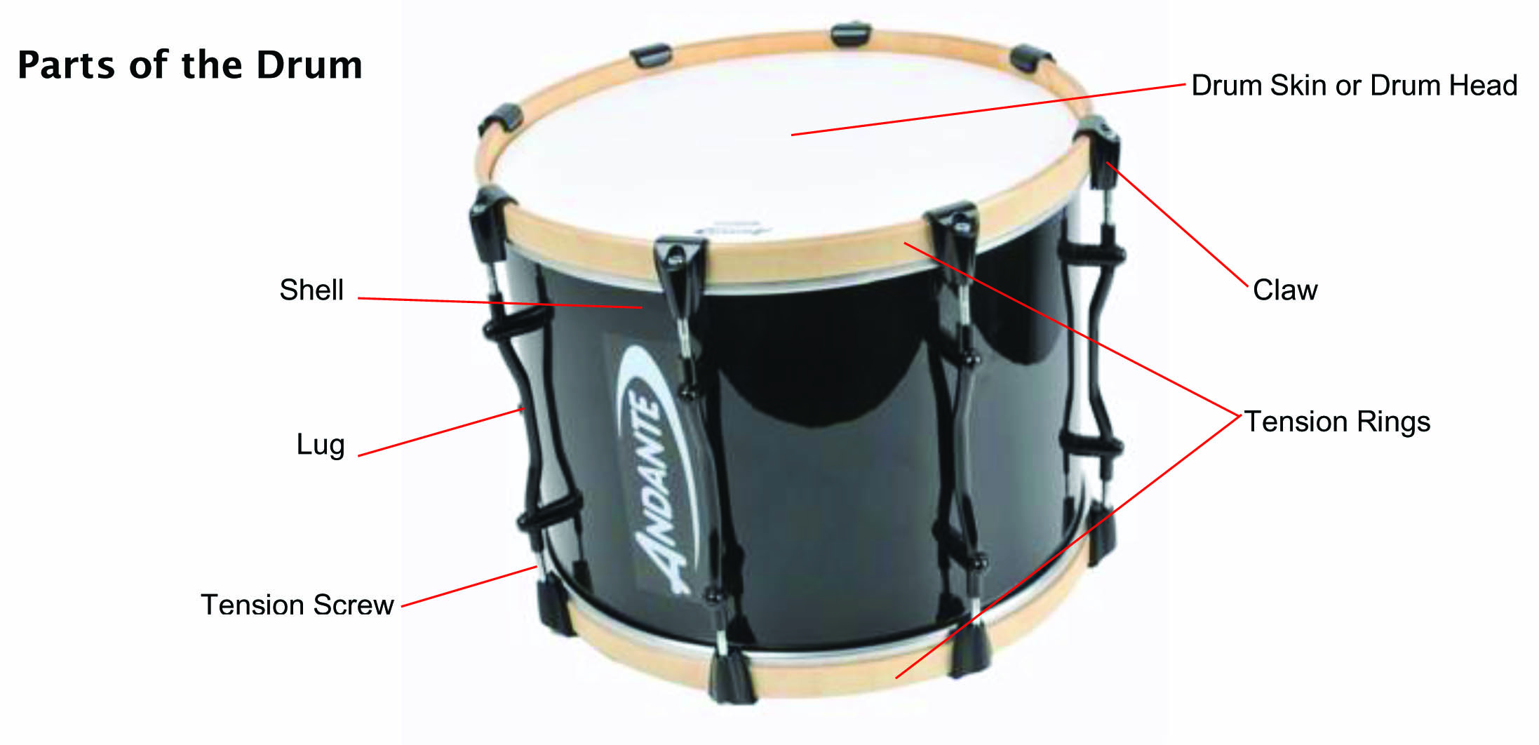 tenordrum tenordrum